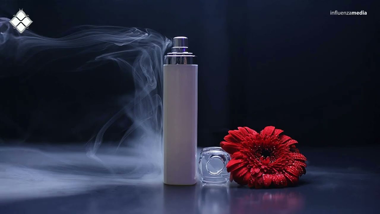 Dynamic Stab - Source