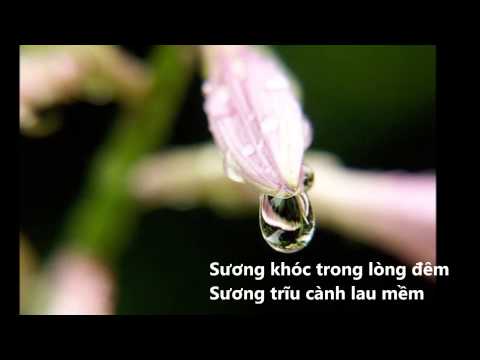 Trăng, sao và sương - Diệu Hiền