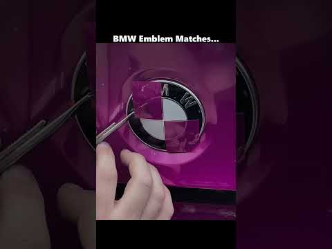 BMW Badge Color...💀 #singing #shorts #pink