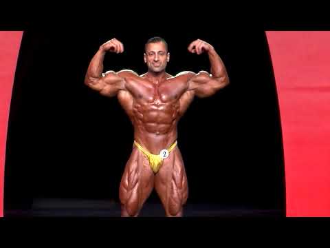 Ahmad Ahmad 🇮🇶 8th @ 2015 Mr. Olympia (212)