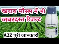 खराब मौसम में भी जबरदस्त रिजल्ट Quantis Syngenta