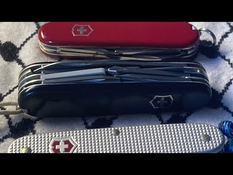 My small Swiss Army Knife collection.