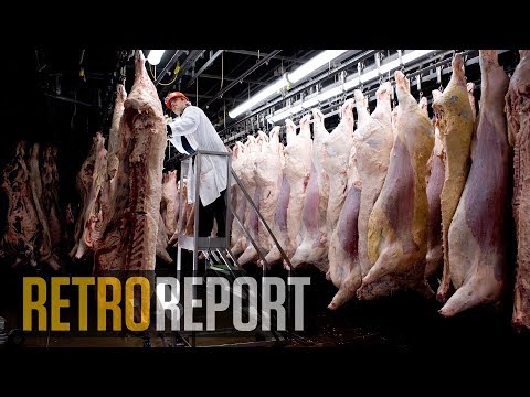E. Coli Outbreaks Changed Food Production, But How Safe Are We? - Retro Report