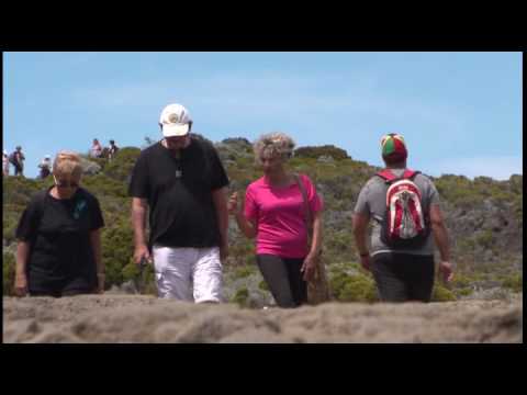 Voyage de groupe à la Réunion