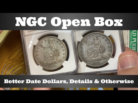 NGC Open Box - Better Date Dollars, Details Grade and Otherwise - Standard Tier