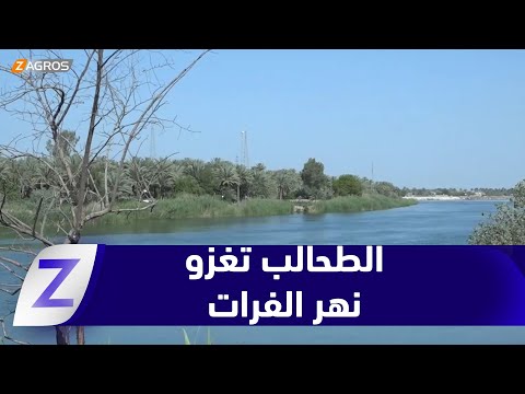 فيديو | النجف.. أزمة مياه نهر الفرات تتصاعد والطحالب تغزو مجراه والقلق الشعبي يتزايد