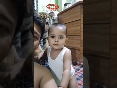 Izhan playing with Tiger#followers #animal#cutebaby#wildlife
