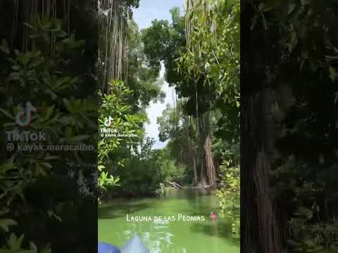 LAGUNA DE LAS PEONIAS... #maracaibo #zulia #venezuela