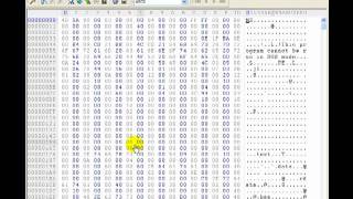 Hex Editor Password Hack with demonstration