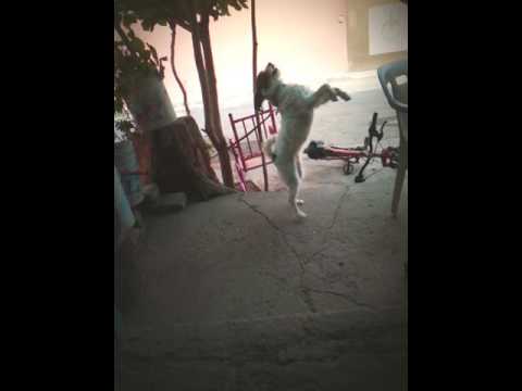 Y ah ella que le gusta bailar😂😱