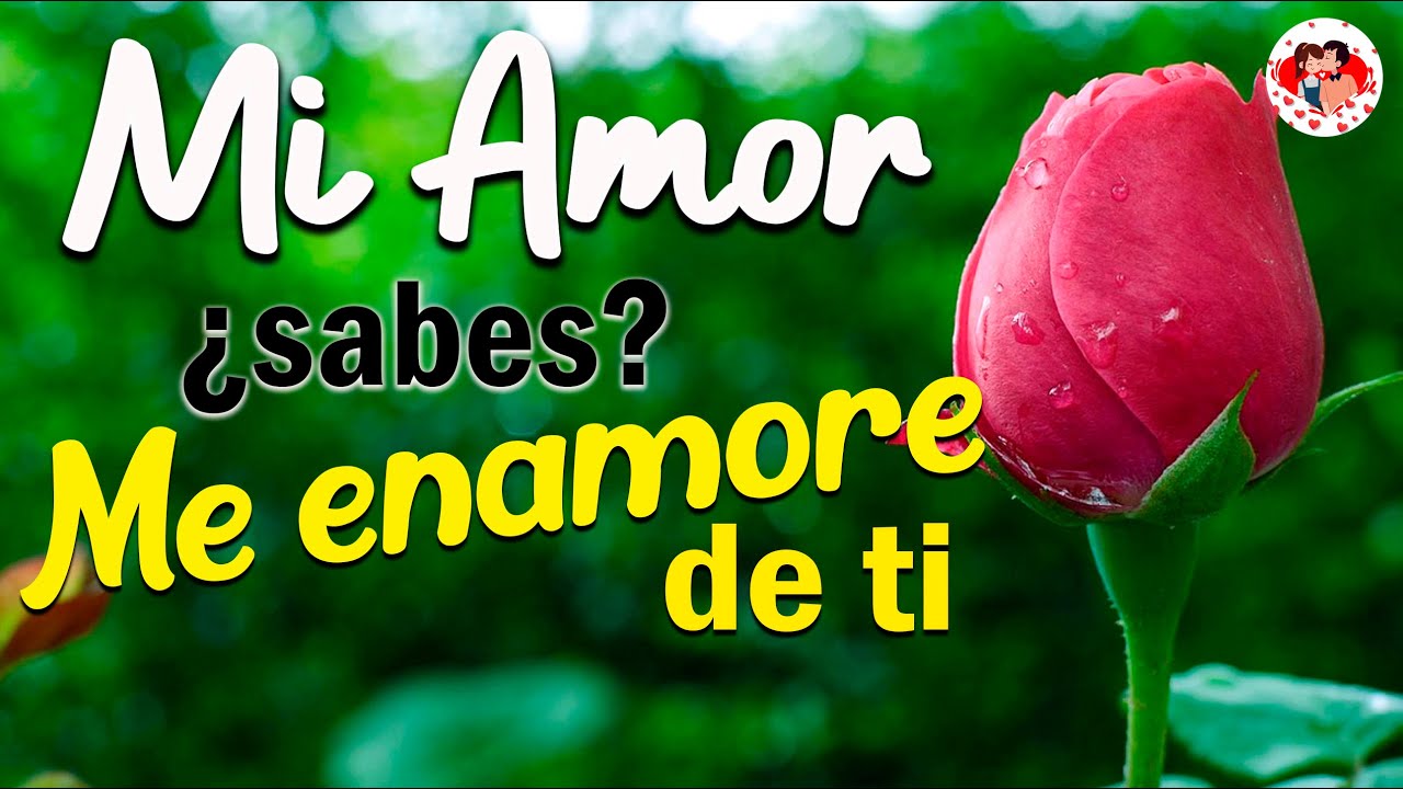 💖Desde que te Conocí 💕Me Enamoré de ti Mi Amor - Carta de Amor