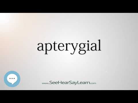 apterygial (Every English Word Pronounced) 📕🔊🗣️😎✅ Video