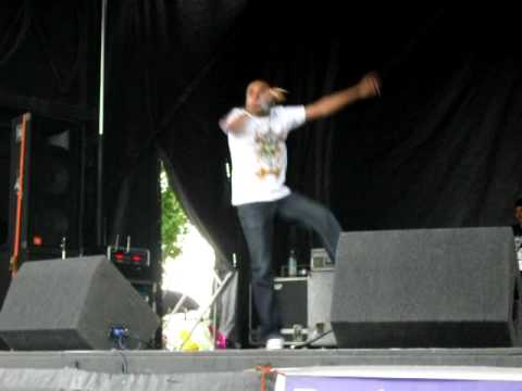Bee2 performing at Plumstead mela 28.06.09 with Taj-e and DJ Phoenixx