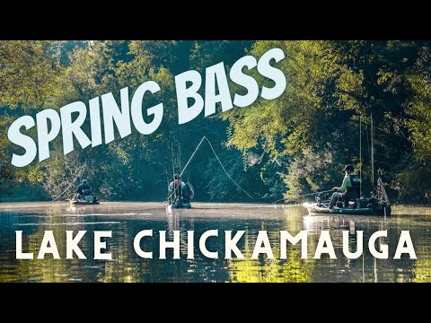 Bass Fishing Lake Chickamauga In The Spring | David Mullins