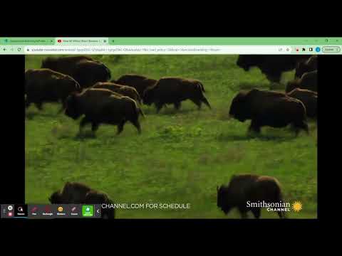 Conservation Science Portal Demo