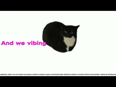 Vibing with my cat (prod. ZmrDan)