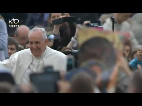 Audience générale du 19 février 2014