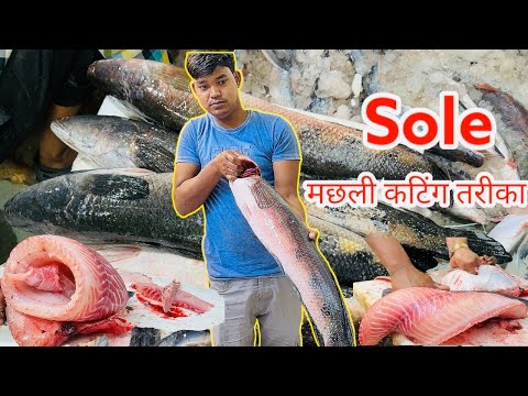 Sole fish boneless Isole fish Isole fish cutting |Is sole fish tasty?|what is another name for solel