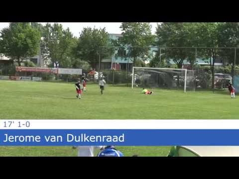 ESA - s.v. de Valleivogels (samenvatting)