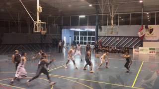 Shawn Amiker Jr Professional Highlights