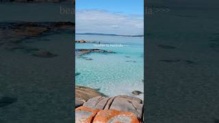 The Australian beaches I still think about 🏝️🌊 #australia #beach #sydney #tasmania