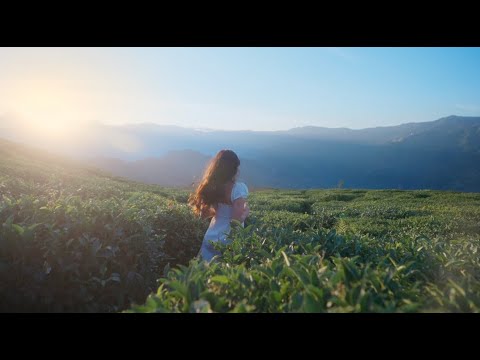 Tanmaya Bhatnagar - Wherever I Go I'd Like To Be All I Need (Official Music Video)