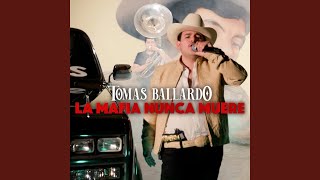 La Mafia Nunca Muere