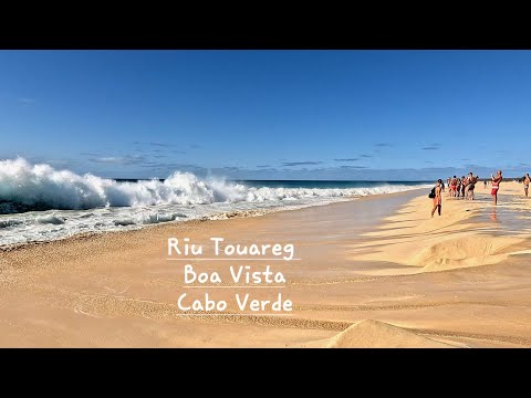 TOURIST CLABERO9 and Wildlife - CLABERO9