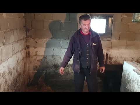 Zeljo Vinka Brnade sin i njegova azra