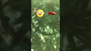 Download lagu Toothbrush under the microscope! Are you brushing your teeth? #Tooth #microscope #Toothbrush #Dental mp3