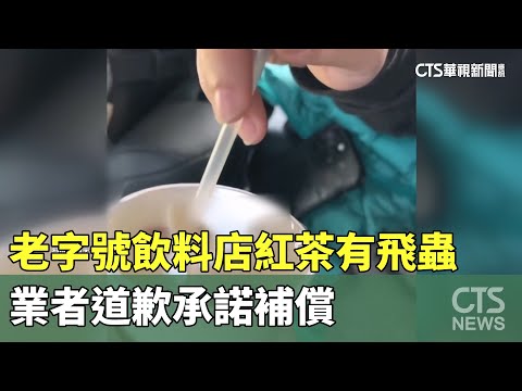 噁！老字號飲料店紅茶有飛蟲　業者道歉承諾補償