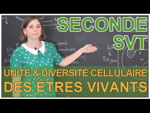 Cellular Unity and Diversity of Living Beings - SVT Seconde - Les Bons Profs