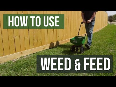 1st YouTube video about how often can i use yates weed and feed