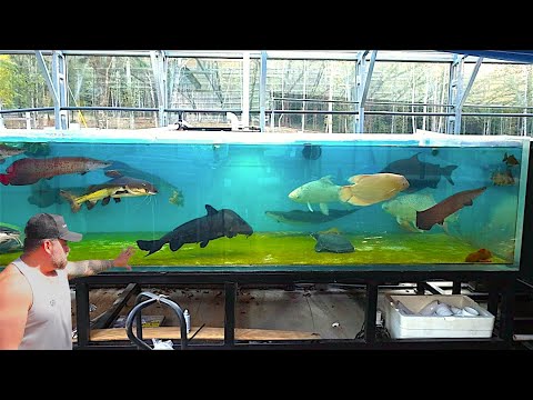 We Drained the GIANT 15,000G Tank… Then Had to CATCH Every Monster FISH Inside!