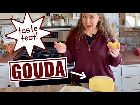 This Clabber-Cultured Gouda Is NOT What I Expected.