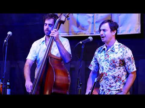 The Bailsmen - If I had a Talking Picture of You - in St. Louis