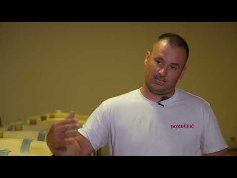 Put do robne marke ep. 135 11.09.2023. Crvena vina vinarije “Zmajevac” iz Lipovca kod Topole