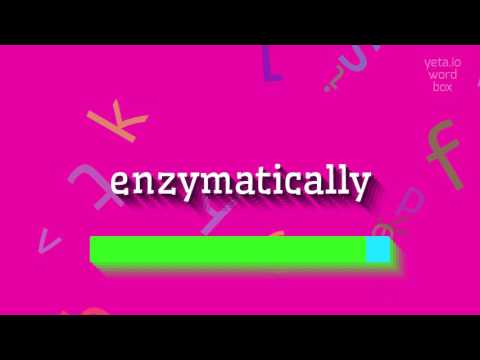 How to say "enzymatically"! (High Quality Voices) Video