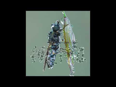 Neida - False Nostalgia