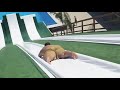 Funny Fat Man Water Slide