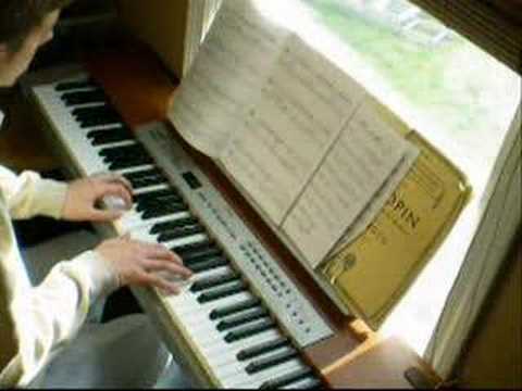 Disney - The Little Mermaid - Part of Your World (cover)