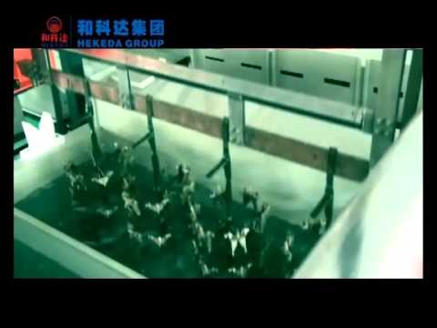 Automatic gantry type rack plating line