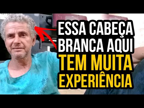 Os 10 melhores Cavalos Mecânicos do Brasil