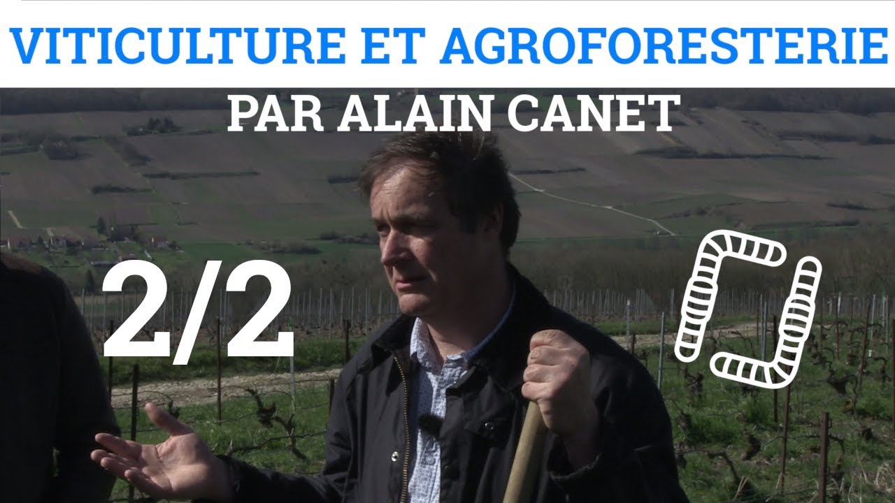 2/2  Viticulture et Agroforesterie - Alain CANET