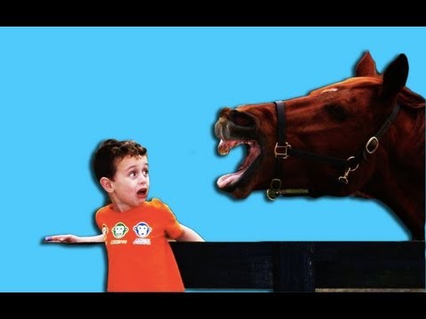 The Face That I Make.  A Picture Song.