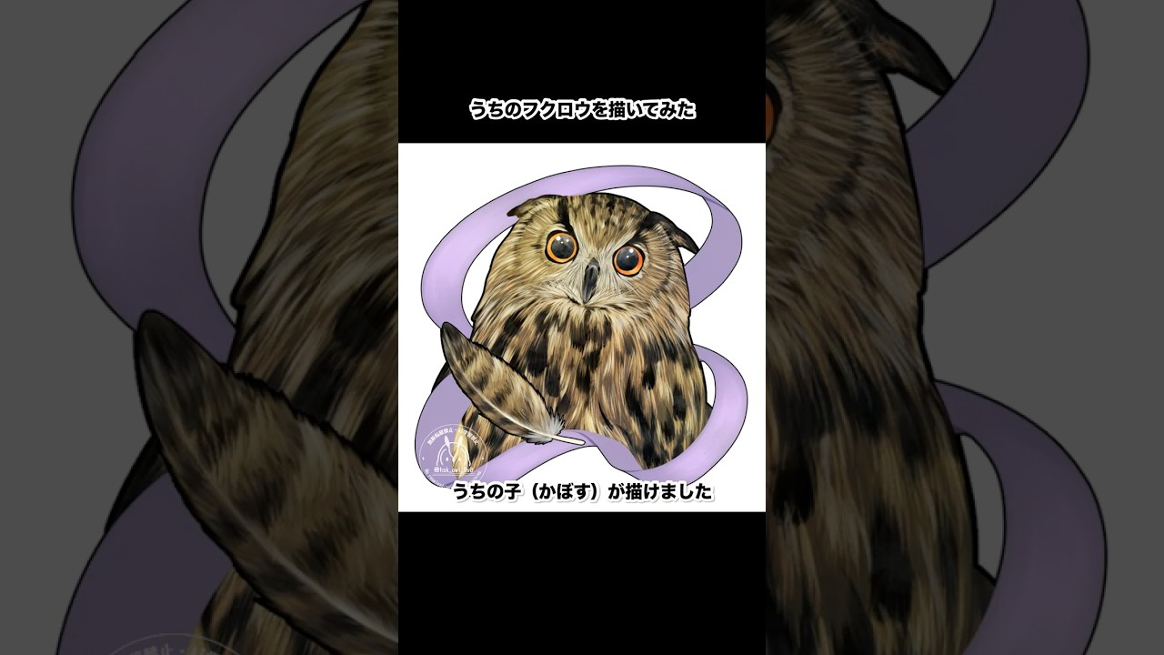 うちのフクロウ（かぼす）を描いてみた #ユーラシアワシミミズク #フクロウ #イラスト #owl #かわいい