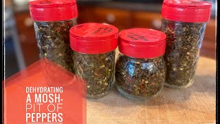 How to Dehydrate Spicy Peppers🌶️🔥