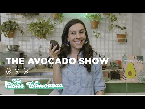 The Avocado Show with Claire Wasserman