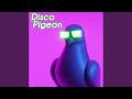 Disco Pigeon