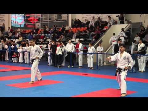 Чемпионат Москвы по тхэквон-до ИТФ 2013